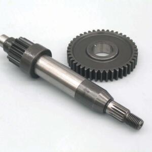 Exetended gears Derbi Paddock LC Primary