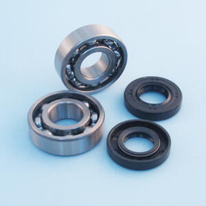 Ball berings + oil seals Hunter