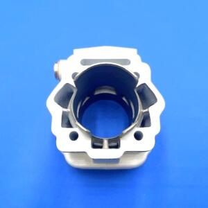 G.T  Derbi euro 3 d.55 (110cc)   PLUS-FORGED D50B0 (piaggio engine)