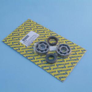 Ball bearings set d.17+ Oil seals x cranckshaft Minarelli AM 6 - HIGH SPEED