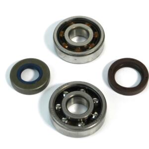 Serie cuscinetti d.17+paraoli banco x Minarelli AM6 - Alta Velocità