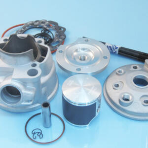 Power Unit alloy APRILIA RS d.55 PLUS