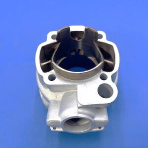 Gruppo Termico Minarelli AM6 d.55 -110cc