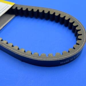 Cinghia variatore PEUGEOT Buxy