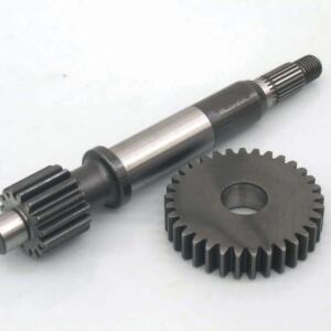 Rapporti allungati PGT Buxy Prim. Z13/41