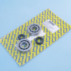 Ball BeRing set  PGT Speedfight