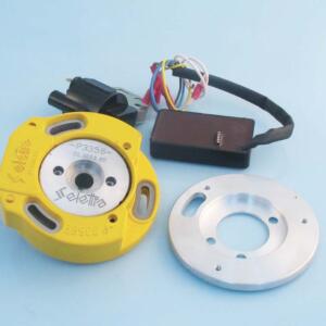 Selettra Flyweel inside rotor Piaggio