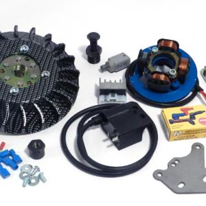 Electronic Ignition cone 20 Kg 1.100 carbon look