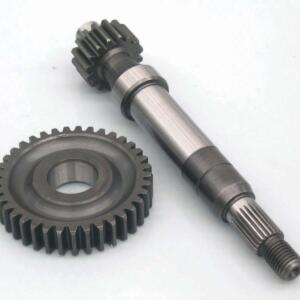 Rapporti allungati primario Piaggio Zip d.17