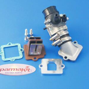 Gruppo alimentazione Piaggio  PHBG 21 DS