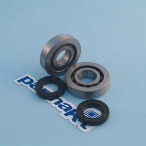 Ball bearing set Piaggio Scooter ec