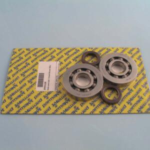 Serie cuscinetti + Paraoli Runner 180cc
