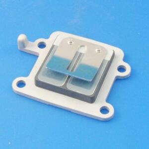 Valvola YAMAHA Bws - Bipetalo in fibra di Vetro