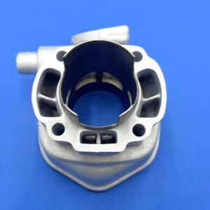 G.T "GP1" Yamaha Aerox  d.50 corsa 43