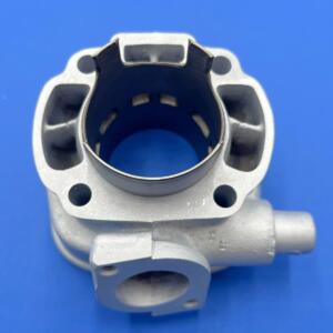 G.T "GP1" Yamaha Aerox  d.50 corsa 43