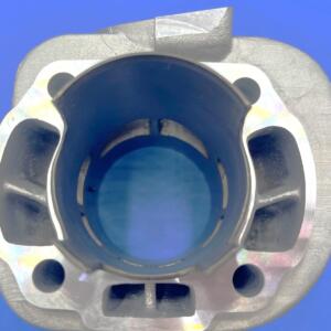 G.T  GP1 Aprilia SR aria  d.50 corsa 43 (85cc) spinotto 12