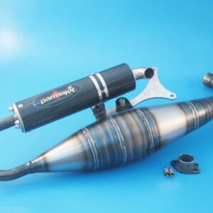 Muffler Aerox carbon silencer GP1